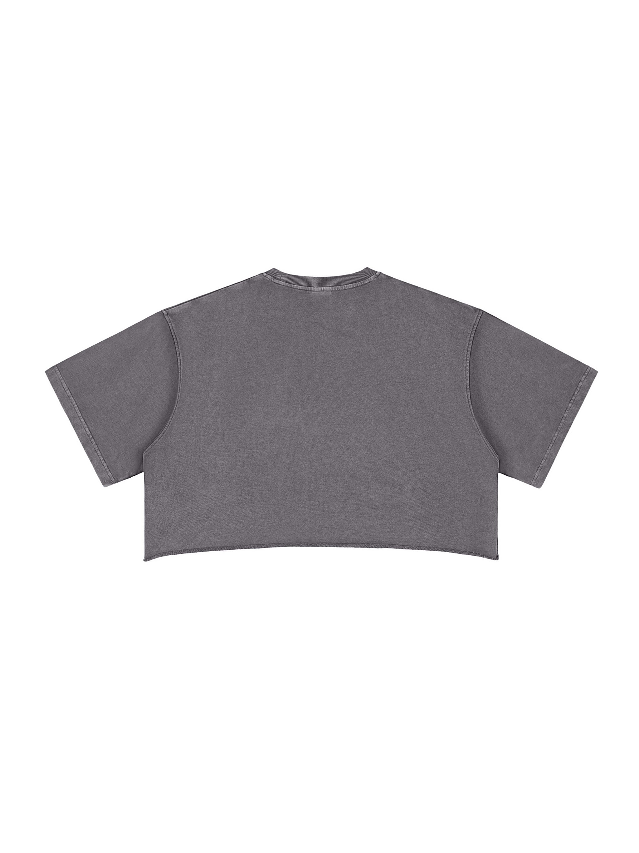 Krown Snow Washed Raw Edge Crop Top